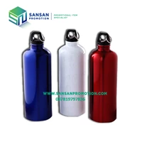 Sports Drink Bottle Stainless (500 ml)